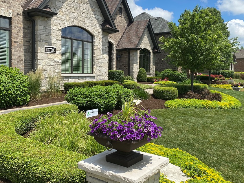 The front yard of an upscale home with extensive greenery accented by purple flowers in a planter on a stone pedestal.
