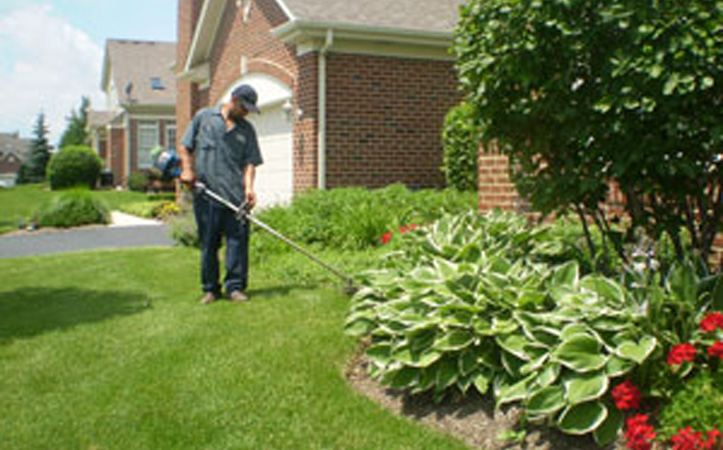 Our team has the experience to keep your lawn and landscaping healthy and beautiful.